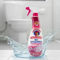 CHANTECLAIR WC Engros candeggina 625ml