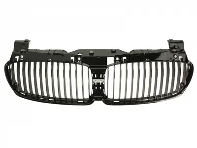 Grila radiator fata interior BMW intre 7 E65, E66, E67 intre 2005-2009