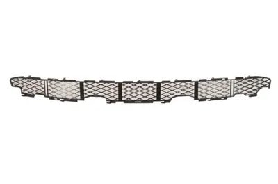 Grila bara Fata Inferior, plastic, argintiu potrivit BMW X5 E53 04.00-10.06