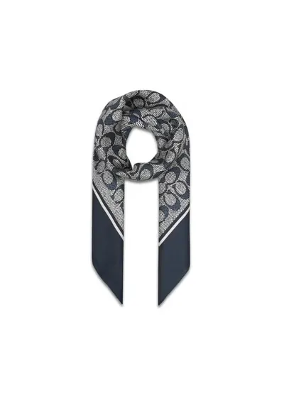 Esarfa dama DWP 29C2755 - material universal
