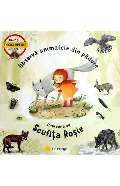 Observa animalele din padure impreuna cu Scufita Rosie