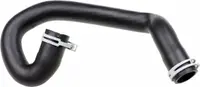 Furtun radiator inferior (31mm 31mm) potrivit FORD C-MAX, FOCUS C-MAX, FOCUS II 1.8-2.0LPG 03.04-09.12