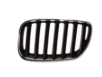 Grila radiator Stanga potrivit BMW X5 (E53) 3.0-4.8 2000-2006 pana in 2006 - (crom/negru)