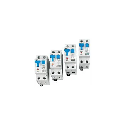 Siguranta automata bipolara diferentiala 40A/30ma 6KA C Schrack