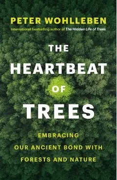 The Heartbeat of Trees: Embracing Our Ancient Bond with Forests and Nature