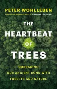The Heartbeat of Trees: Embracing Our Ancient Bond with Forests and Nature