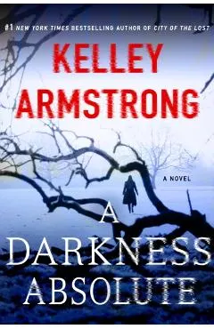 A Darkness Absolute: A Rockton Novel