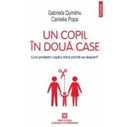 Un copil in doua case. Cum protejam copilul cand parintii se despart?