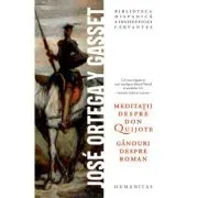 Meditatii despre Don Quijote. Ganduri despre roman