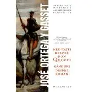 Meditatii despre Don Quijote. Ganduri despre roman