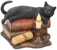 Statuetă Nemesis Now Adult: Gothic - The Witching Hour (By Lisa Parker), 20 cm