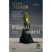 Pilonii marii