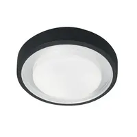 Aplica Ingrid 1 Light Wall/Ceiling Lantern