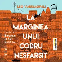 La marginea unui codru nesfârșit - Audiobook