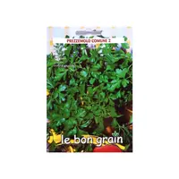 Seminte de Patrunjel Comune, 100 g, Raci Sementi