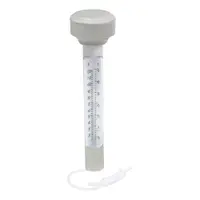 Termometru pentru piscină ø 5 cm – Bestway