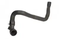 Furtun radiator inferior potrivit AUDI A3; SEAT LEON; SKODA OCTAVIA I; VW BORA, BORA I, GOLF IV 1.6 09.96-12.10