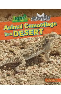 Animal Camouflage in a Desert