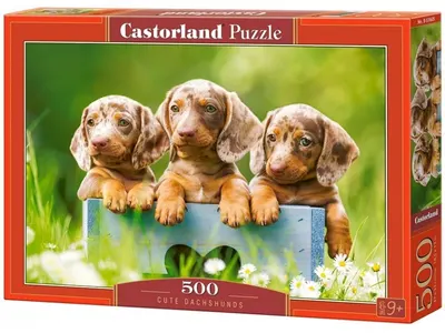 Puzzle Castorland din 500 de piese - Puppies