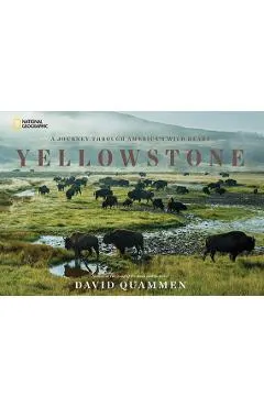 Yellowstone: A Journey Through America's Wild Heart