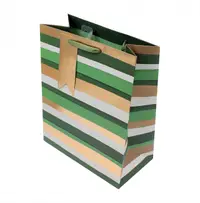 Punga cadou hartie L Green Stripe