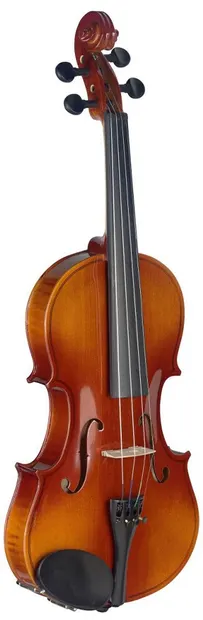 Vioara Stagg - VN-4/4 L, maro