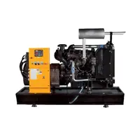 Generator Diesel Fara Carcasa Dg25/20 20kw