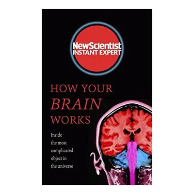 How Your Brain Works