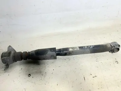 Amortizor stanga / dreapta spate 8R0513035J Audi Q5 (2008-2012) [8R]