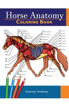 Horse Anatomy Coloring Book: Incredibly Detailed Self-Test Equine Anatomy Color workbook - Perfect Gift for Veterinary Students, Horse Lovers & Adu