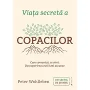 Viata secreta a copacilor. Cum comunica, ce simt. Descoperirea unei lumi ascunse
