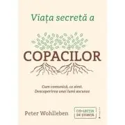 Viata secreta a copacilor. Cum comunica, ce simt. Descoperirea unei lumi ascunse