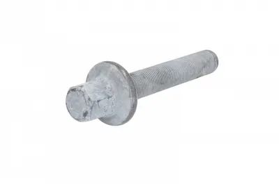 Surub fulie potrivit BMW Seria 3 (E36), 3 (E46), 5 (E39) 1.7D 2.0D 01.95-09.03