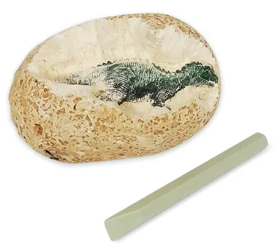 Set de joaca Buki Dinosaurs -Ou de dinozaur pentru recunoastere, sortiment