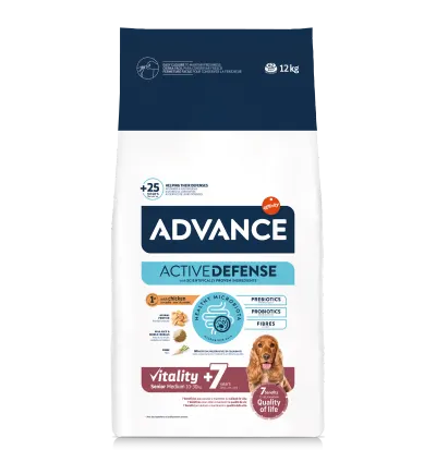 Advance Dog Medium Senior, 12 kg