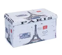 Ub Cutie Depozitare Dreptunghiulara Paris cu Ursulet