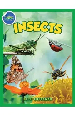 Bugs in My Backyard for Kids: Storybook, Insect Facts, and Activities (Let's Learn About Bugs and Animals)