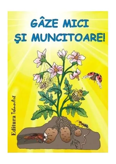 Gâze mici și muncitoare - Paperback brosat - ***