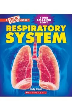 Respiratory System (a True Book: Your Amazing Body)