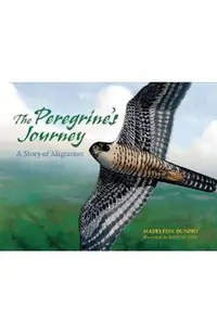 The Peregrine's Journey: A Story of Migration