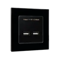 Double Usb Socket Glass Frame Black