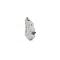 Siguranta automata 10000 - 16 kA - 1P - 230/400 V~ - 2 A - D curba