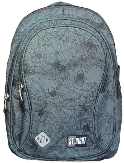 Ghiozdan școlar St. Right Spider Web - Cu 2 compartimente