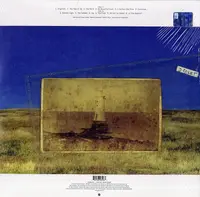 Is This Desire? -Vinyl