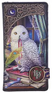 Portofel Nemesis Now Adult: Magic - Guardian of Spells (by Lisa Parker)