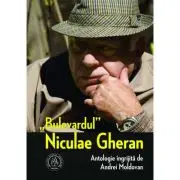 „Bulevardul” Niculae Gheran