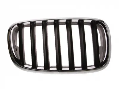 Grila radiator fata dreapta negru crom BMW X5, X6 intre 2007-2010