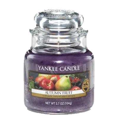 Yankee Candle. Autumn Fruit. Small Jar