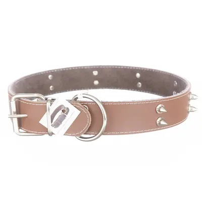 Zgarda din piele, maro, cu 2 randuri de colti metalici, 4 cm x 75 cm