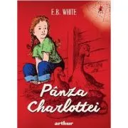 Panza Charlottei. Format mare